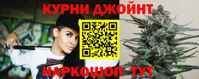 индика Будённовск