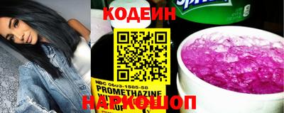 индика Будённовск